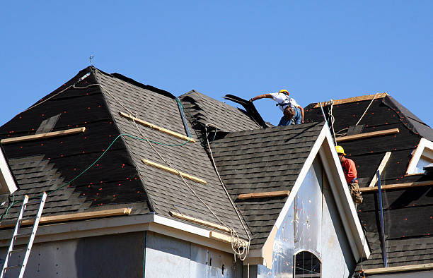 Quick and Trustworthy Emergency Roof Repair Services in Carrollwood, FL