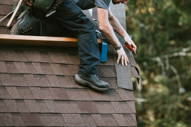 Best Residential Roof Replacement  in Carrollwood, FL