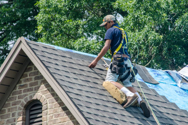 Best New Roof Installation  in Carrollwood, FL